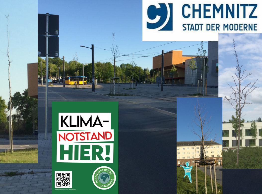 Kollage mit toten Chemnitzer Bäumen und einer städtischen Betonwüste vor der TU Chemnitz