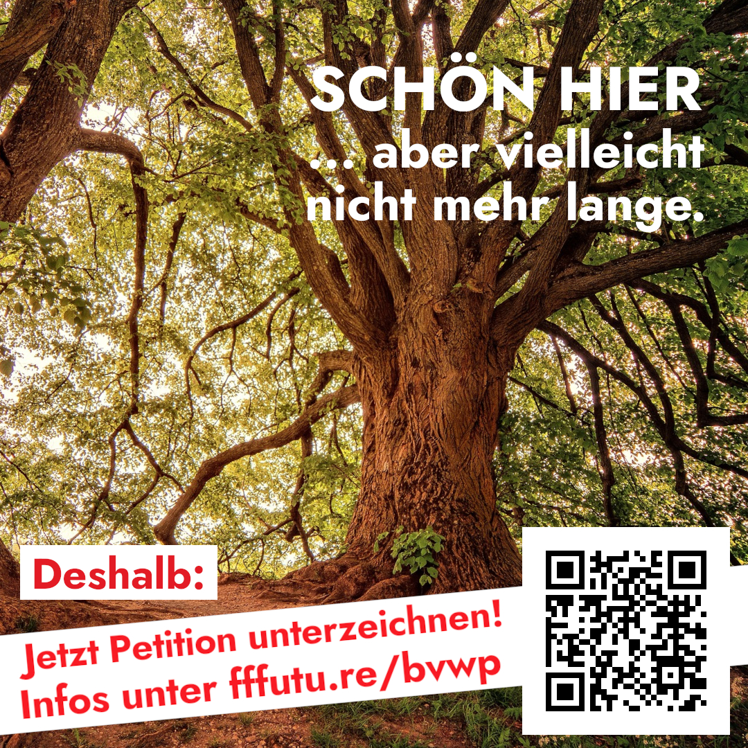 Aufruf zur Petition zum BVWP - mit Baum