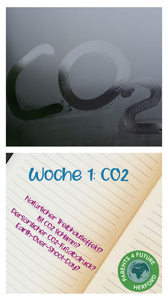 Eingangsbild CO2