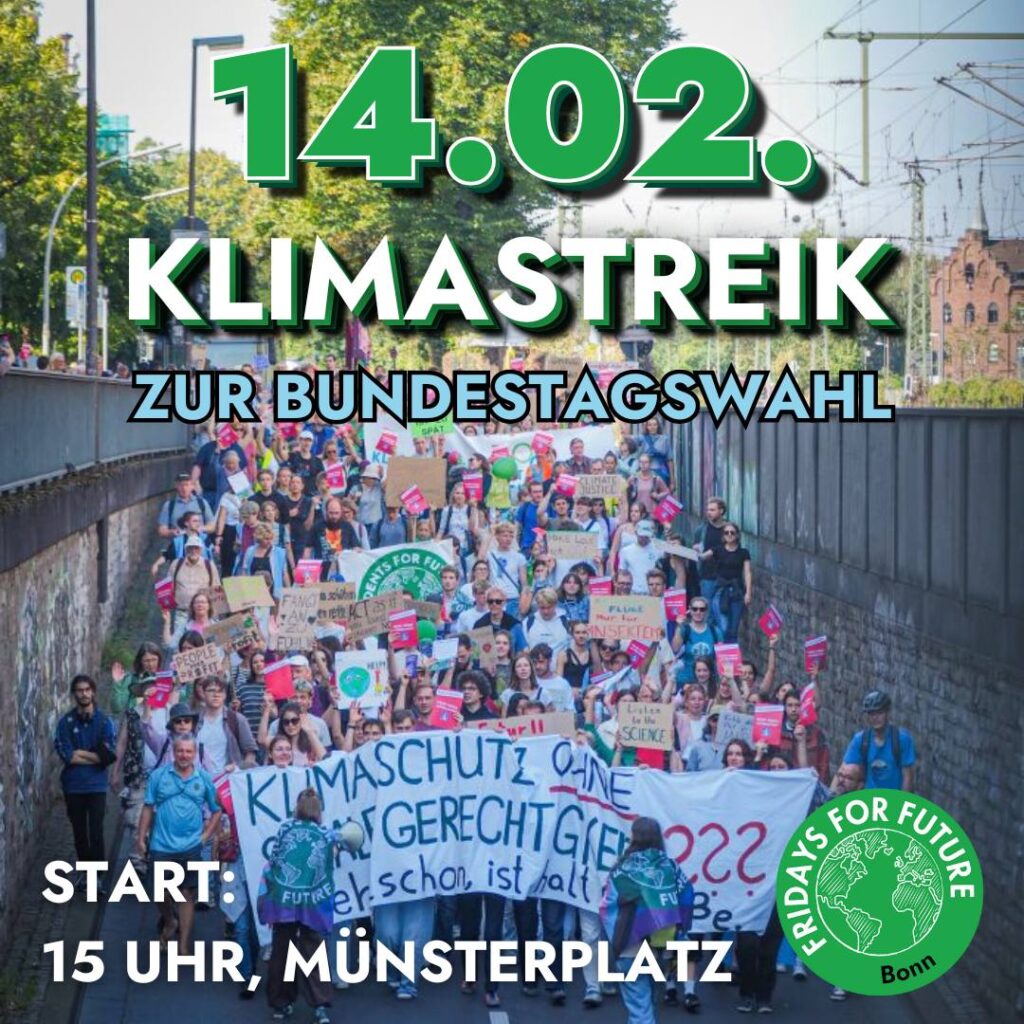 Plakat Klimastreik