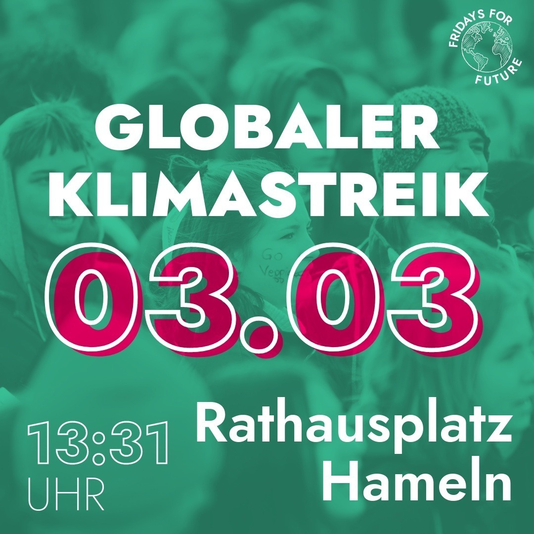 Globaler Klimastreik 03.03.2023 Hameln Rathausplatz.