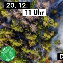 FFF Aktionstag Waldbrände am 20.12.