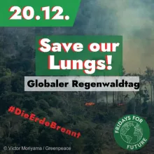 Globaler Regenwaldtag / FFF Aktionstag Waldbrände