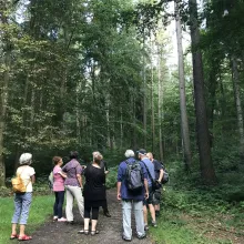 Begehung Ebersdorfer Wald